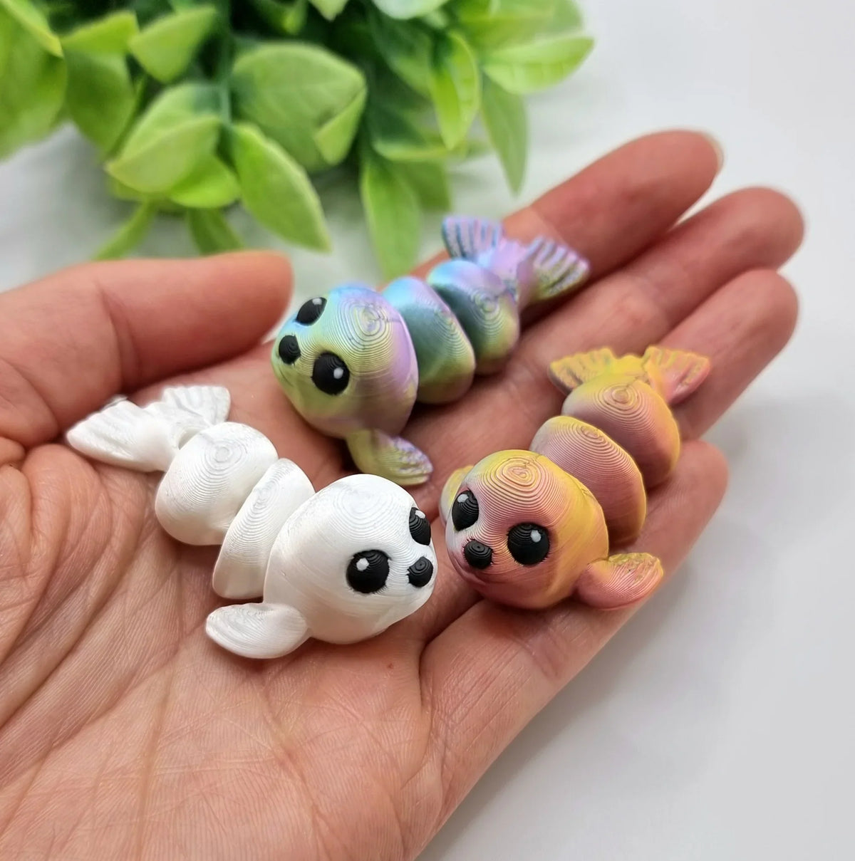 Magic Animals – Seehund