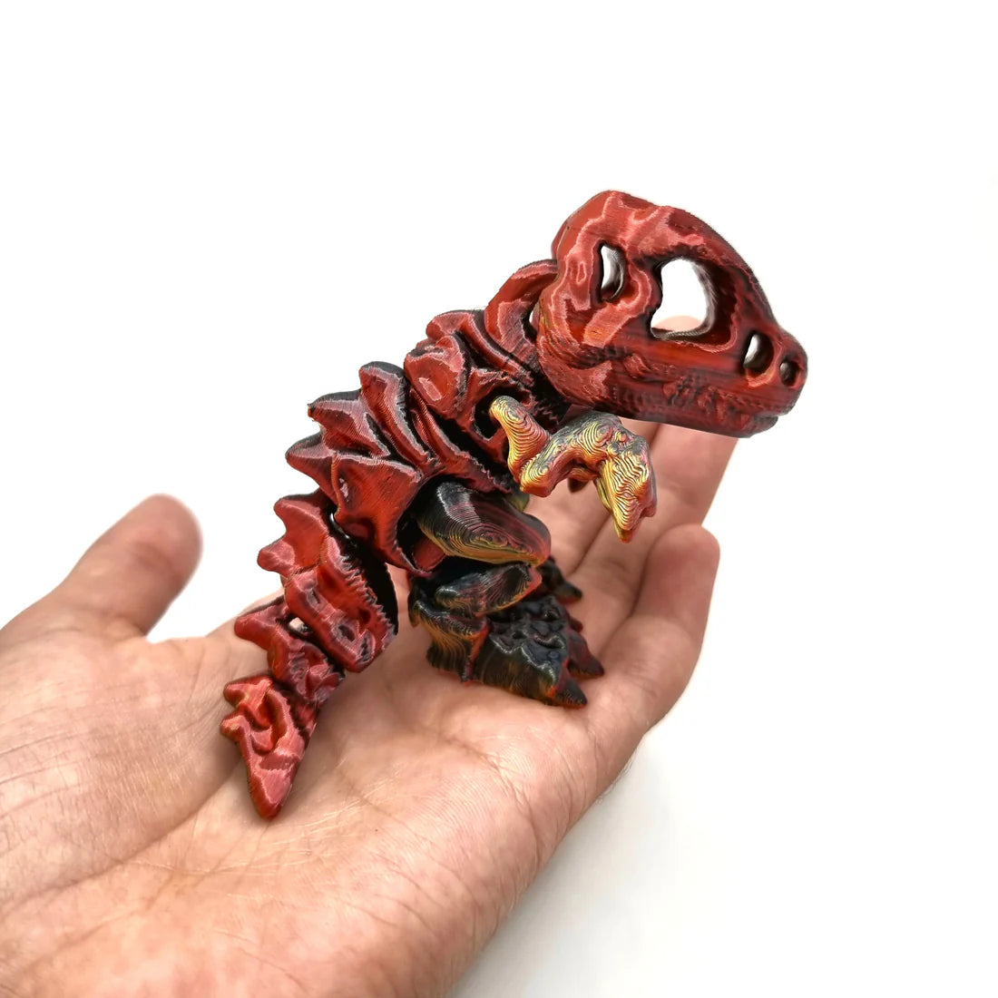 T-Rex Skelett mittelgross