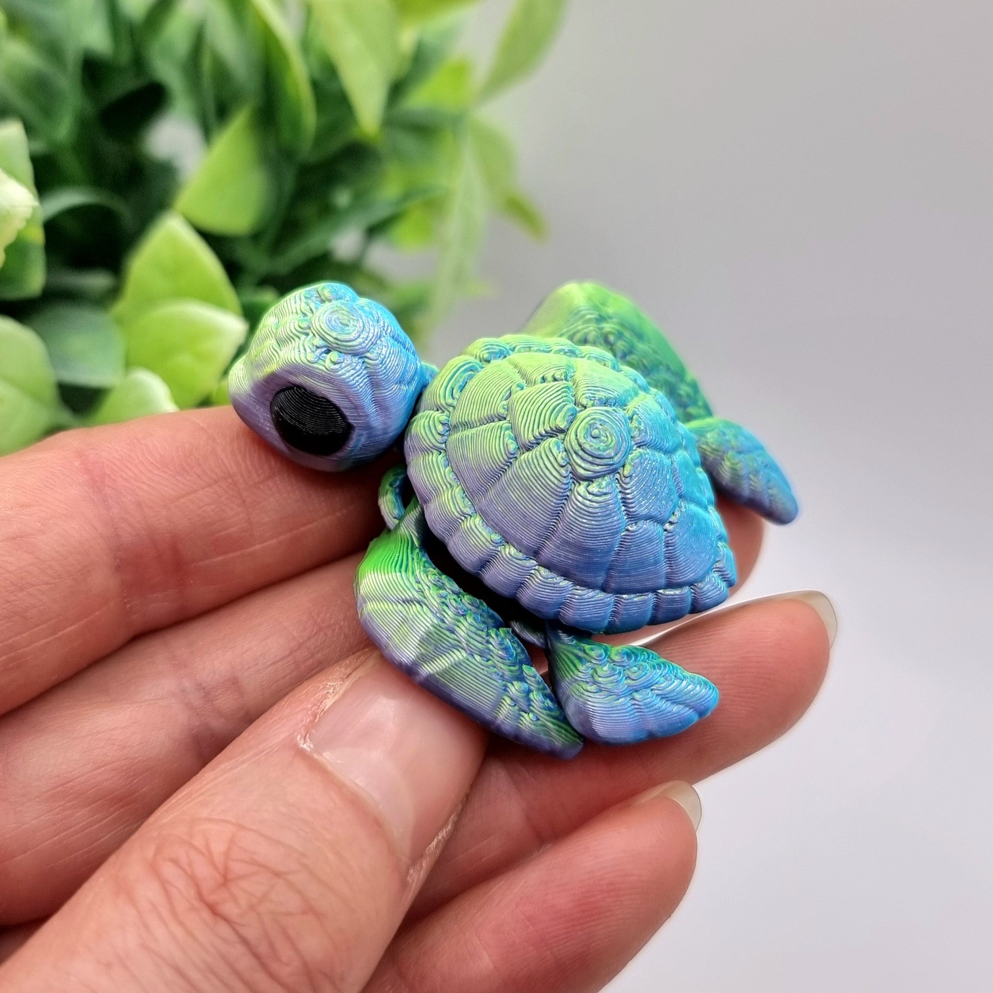 Kleine Schildkröten in der Hand