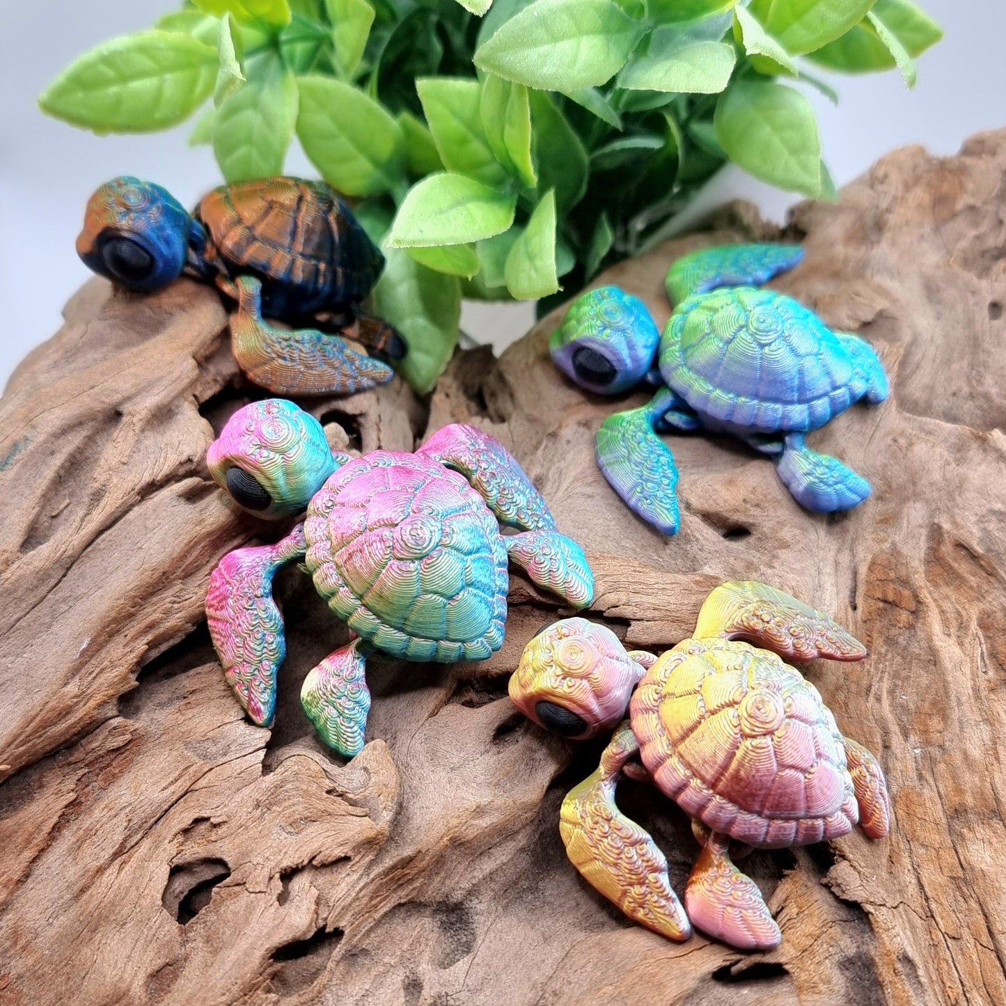 Kleine Schildkröten auf Holz